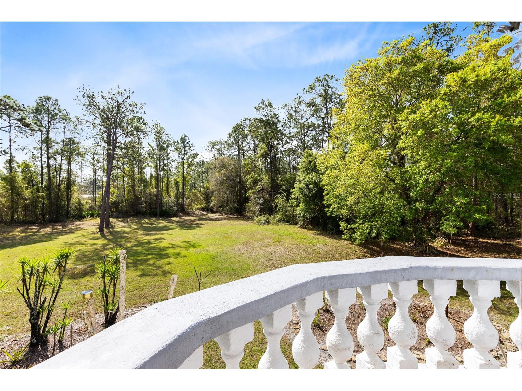 14502 Scotch Pine Court Orlando FL 32832 O6391745 image34