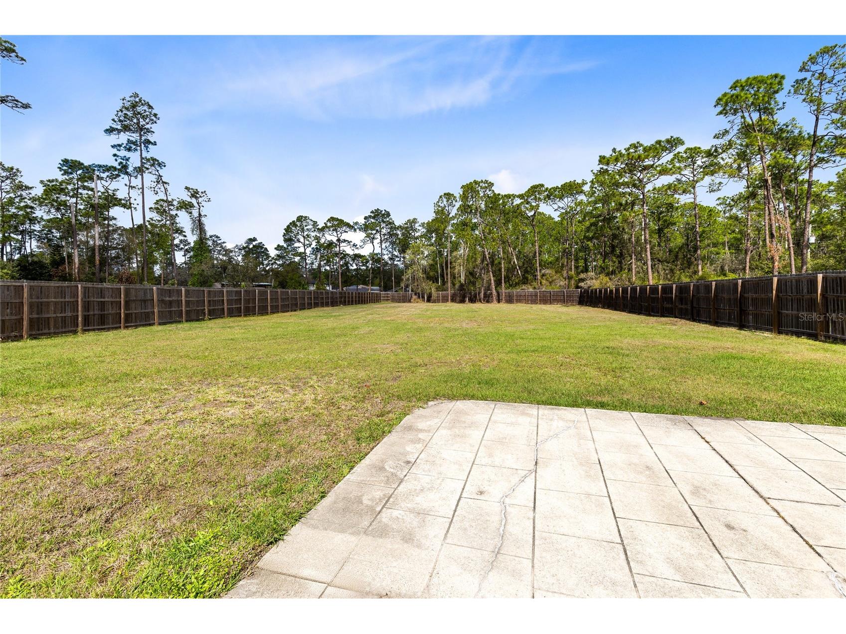 14502 Scotch Pine Court Orlando FL 32832 O6391745 image48