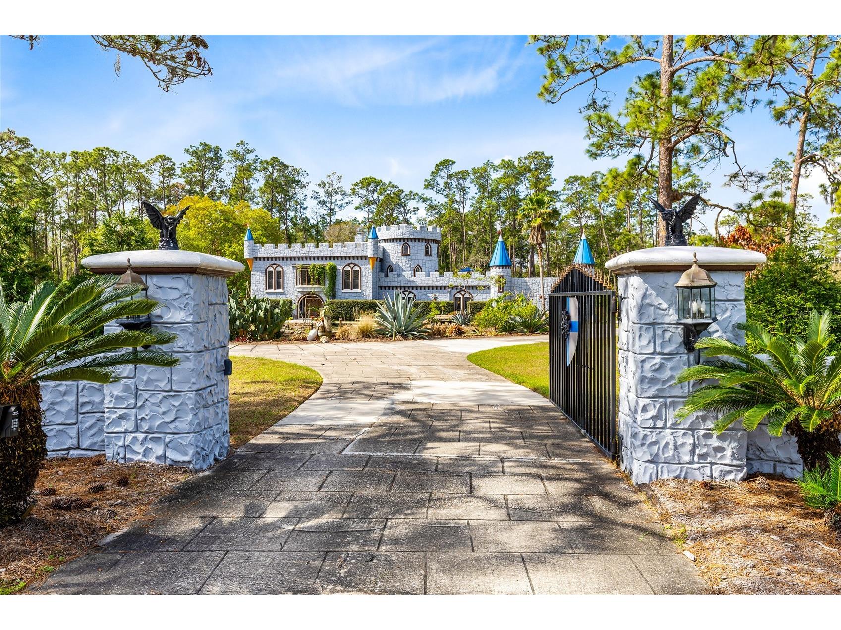 14502 Scotch Pine Court Orlando FL 32832 O6391745 image49