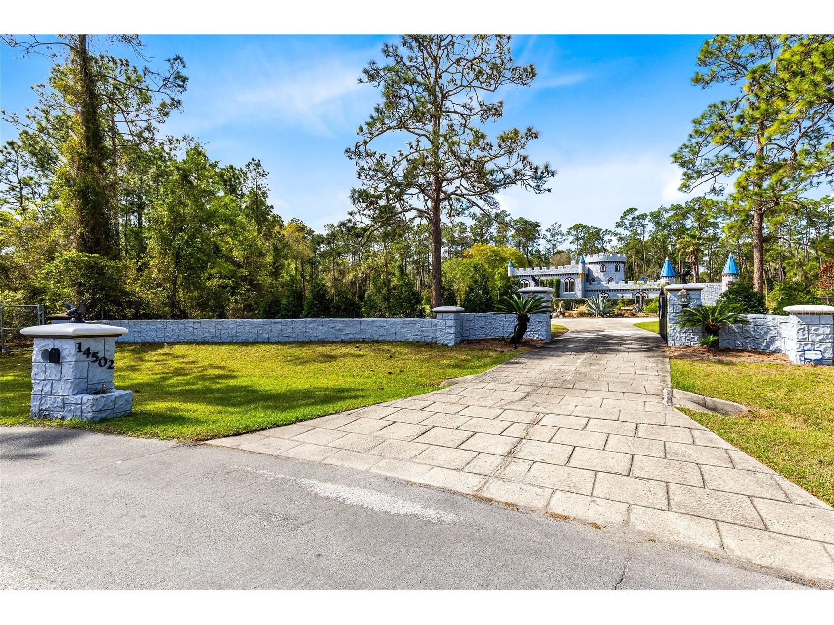 14502 Scotch Pine Court Orlando FL 32832 O6391745 image50