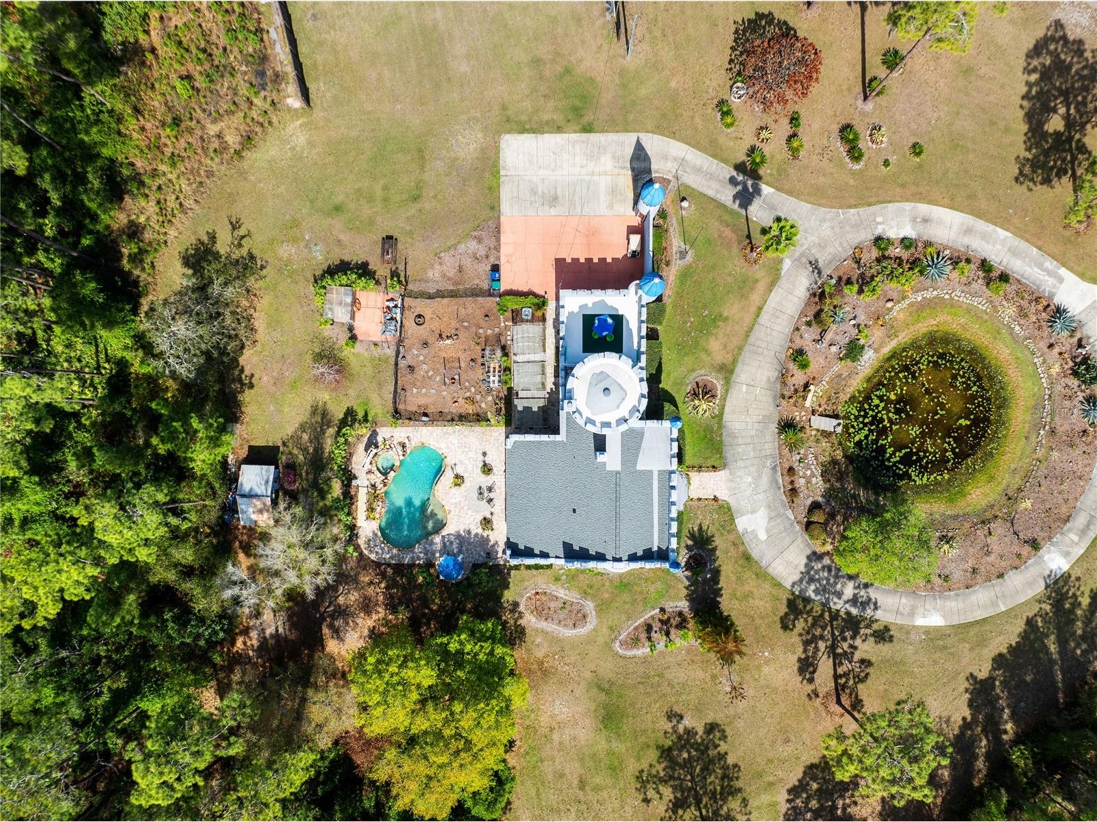 14502 Scotch Pine Court Orlando FL 32832 O6391745 image51