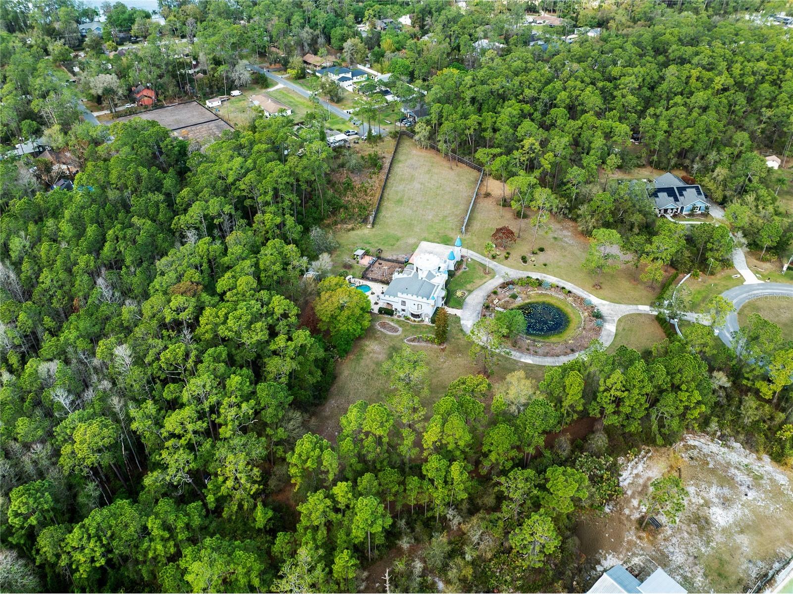 14502 Scotch Pine Court Orlando FL 32832 O6391745 image54