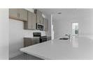 14503 Crestavista Avenue Clermont FL 34714 O6395215 image14
