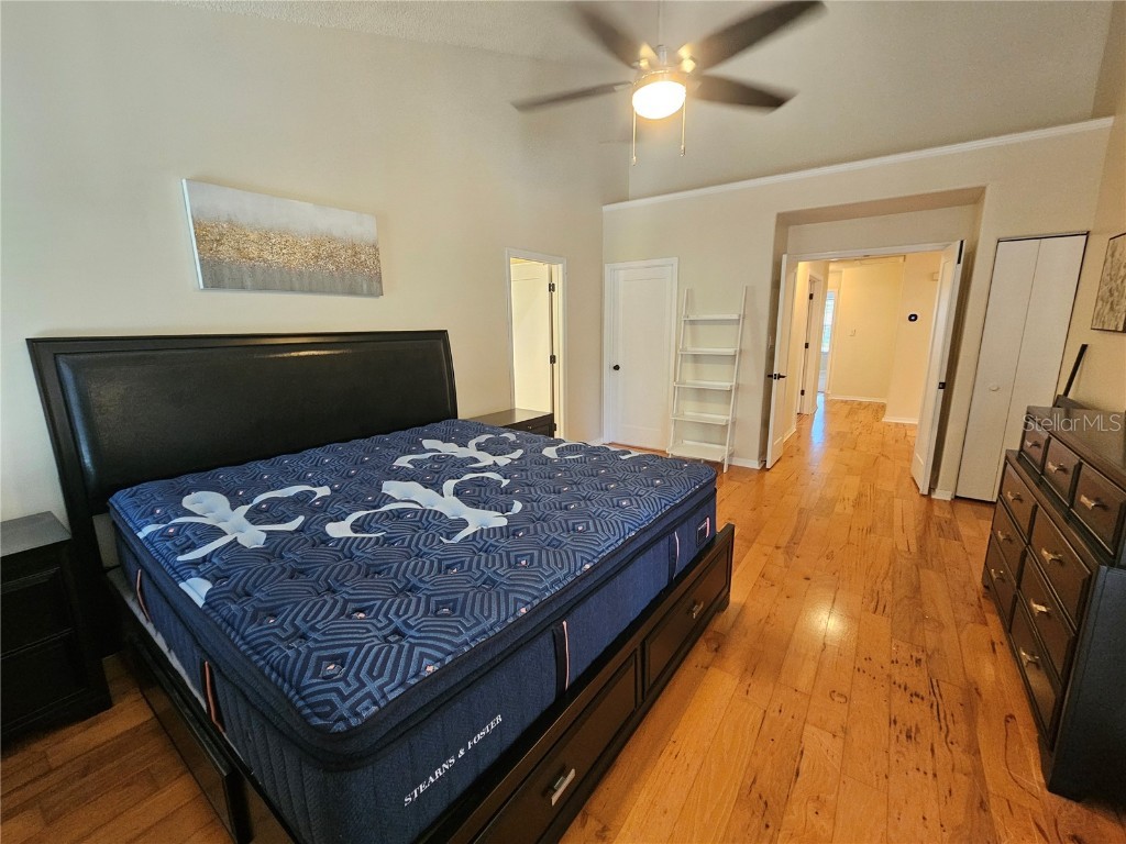 14504 Brambie Court Tampa FL 33624 TB8453621 image17