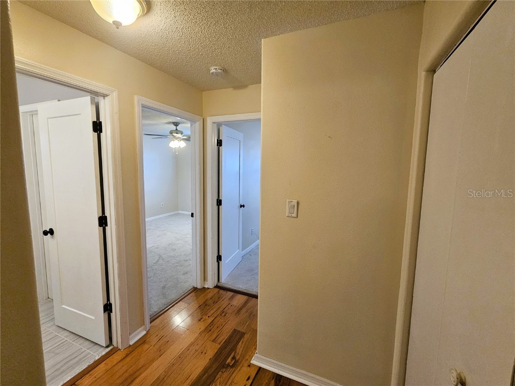 14504 Brambie Court Tampa FL 33624 TB8453621 image28