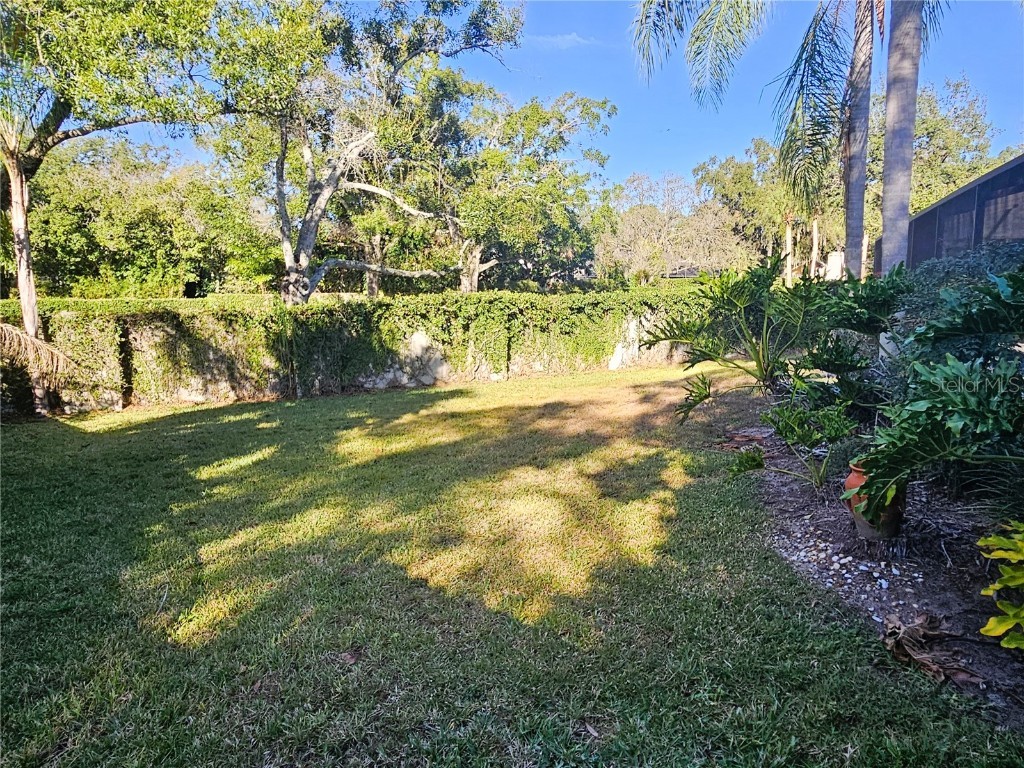 14504 Brambie Court Tampa FL 33624 TB8453621 image39