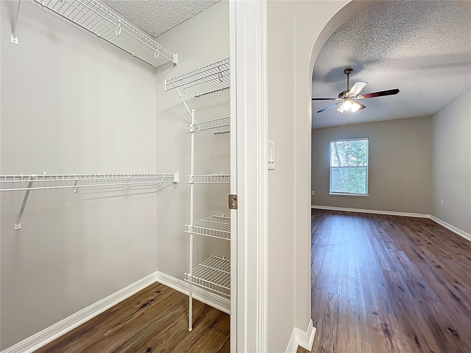 14504 Lycastle Circle Orlando FL 32826 O6390365 image24