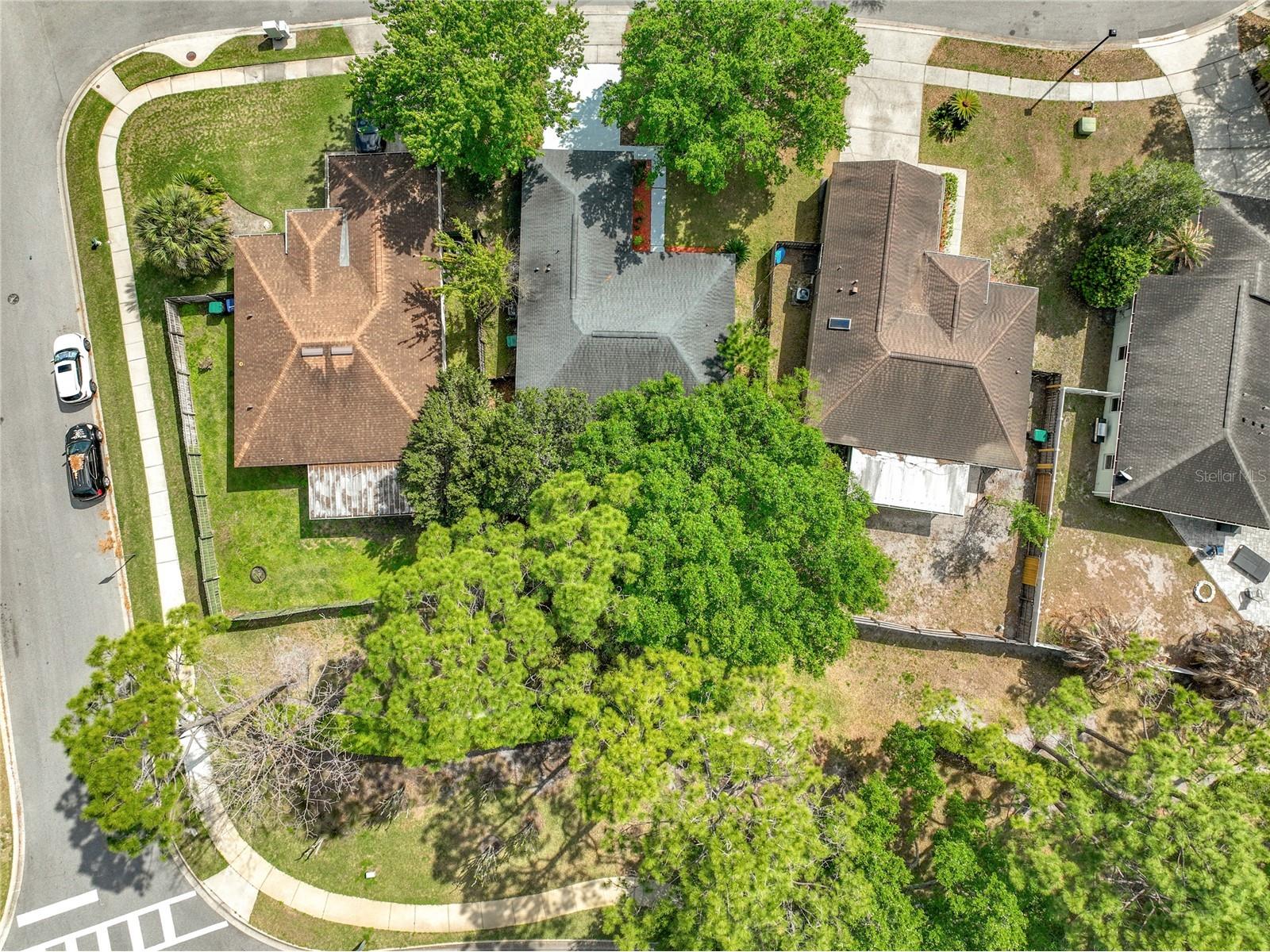 14504 Lycastle Circle Orlando FL 32826 O6390365 image4