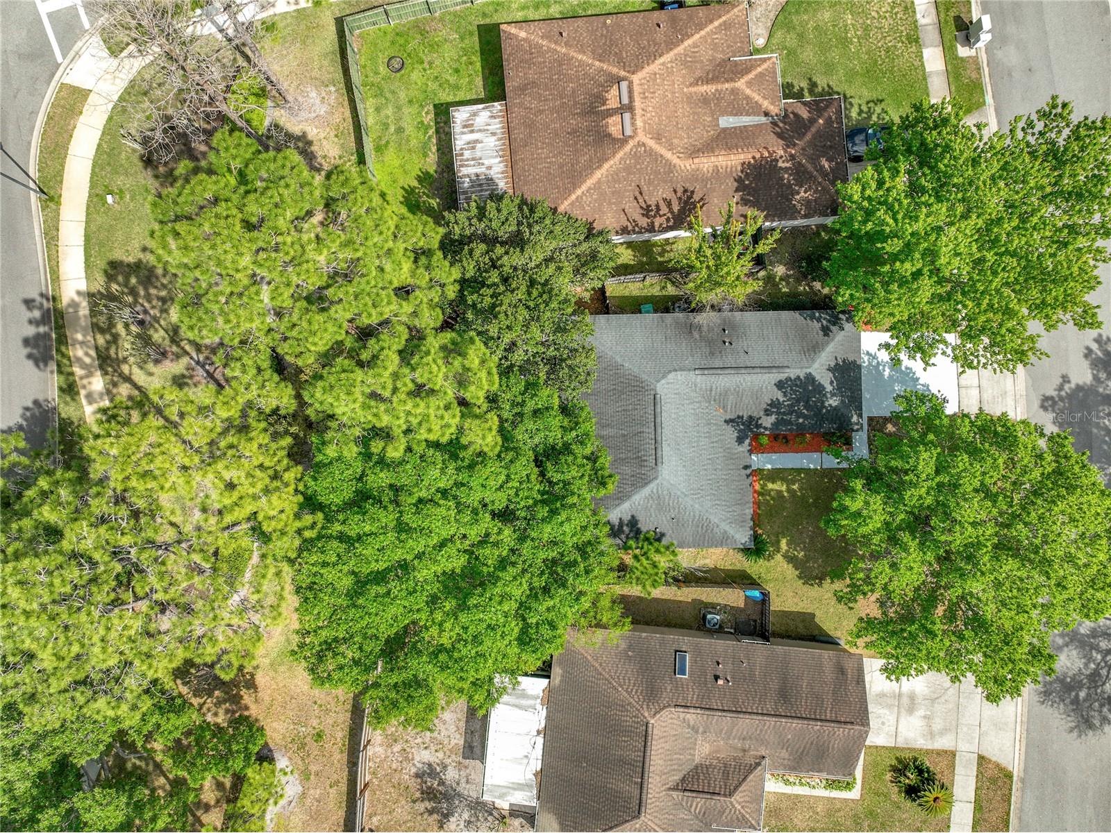 14504 Lycastle Circle Orlando FL 32826 O6390365 image5