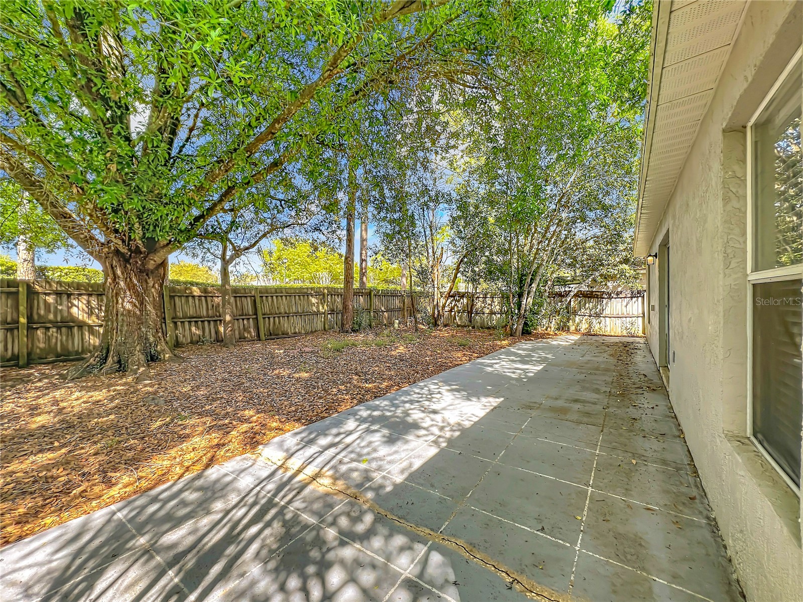14504 Lycastle Circle Orlando FL 32826 O6390365 image7