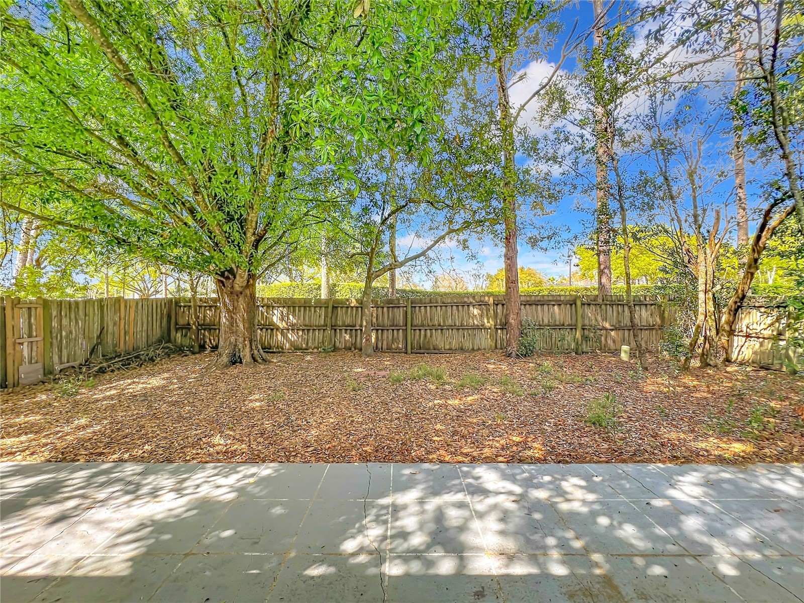 14504 Lycastle Circle Orlando FL 32826 O6390365 image8