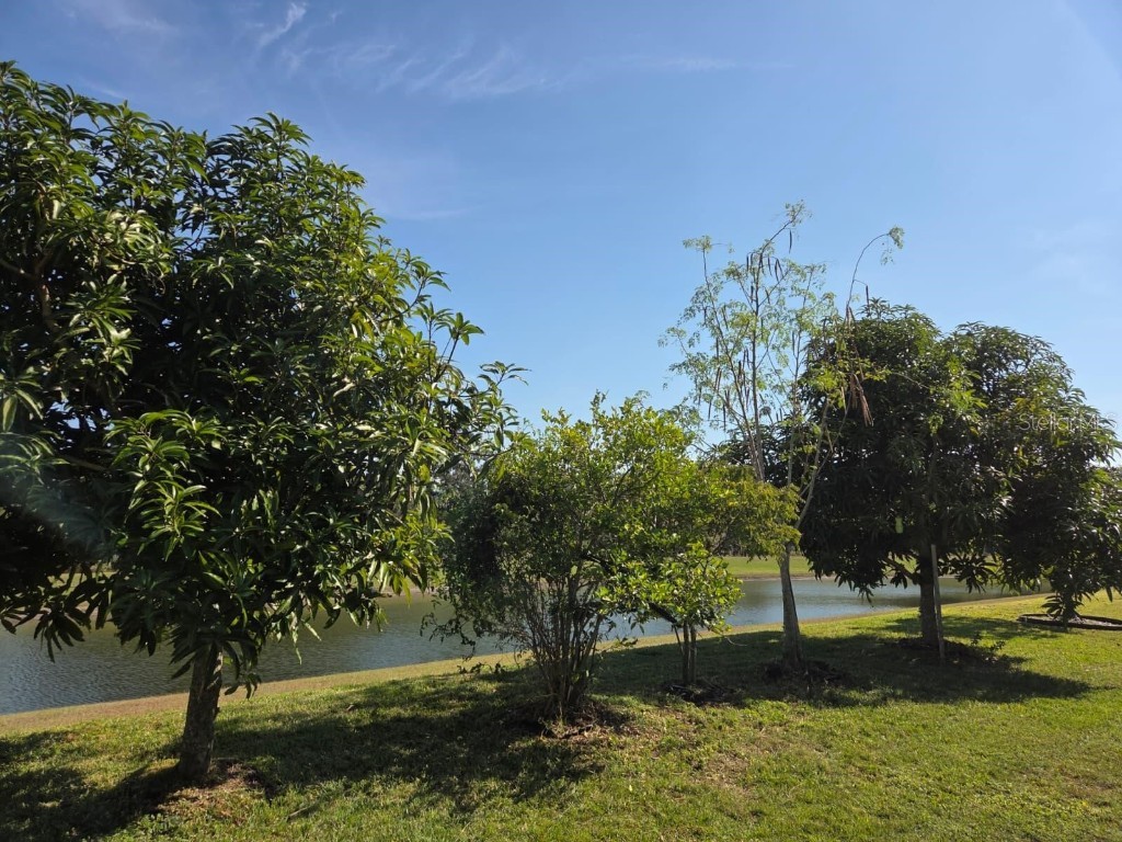 14505 Ward Road Orlando FL 32824 O6362029 image5