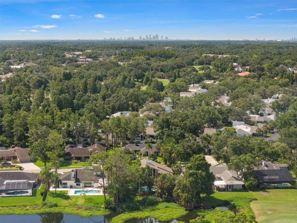 14506 Anchoret Road Tampa FL 33618 TB8415240 image64