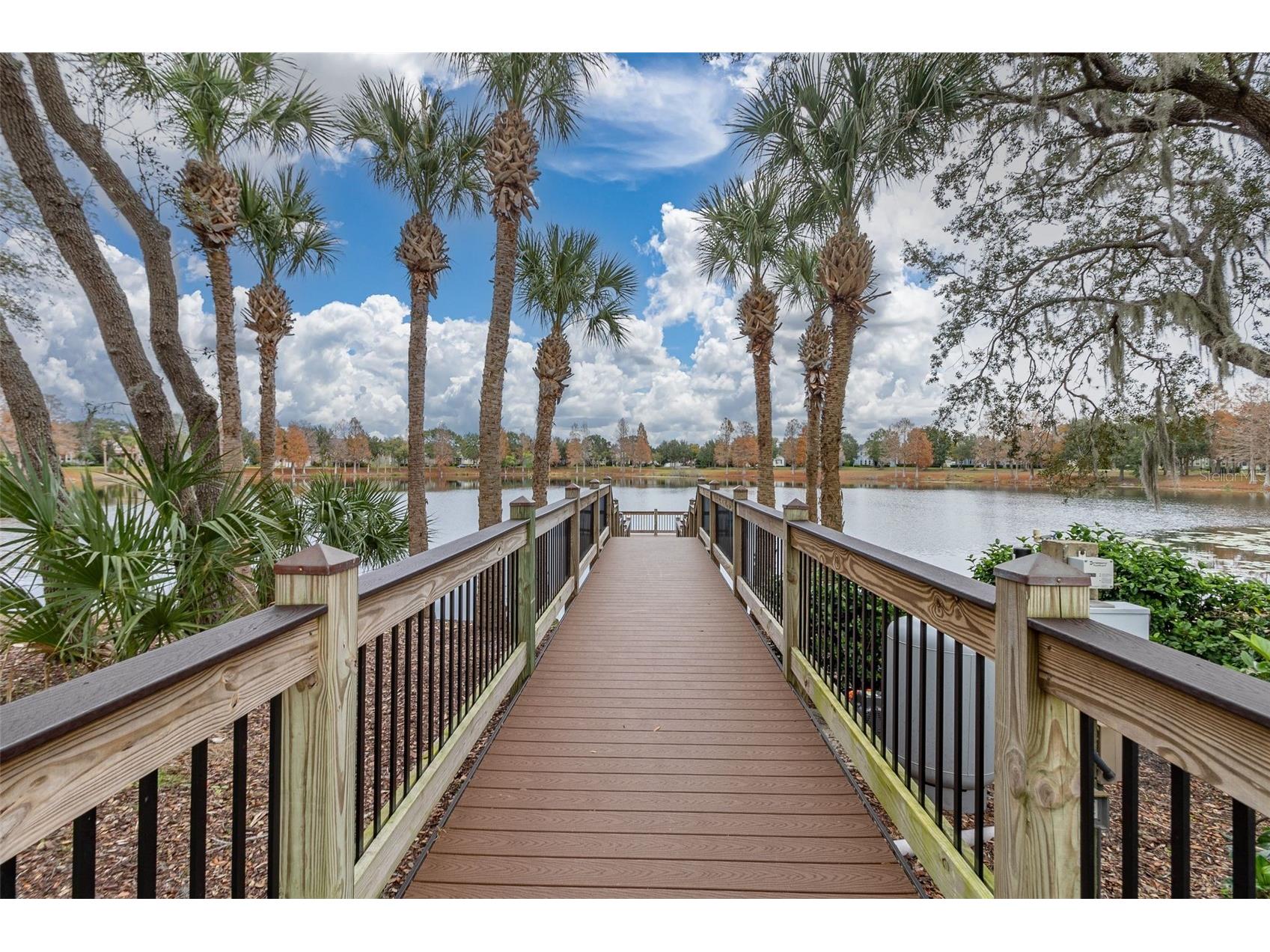 14506 Bridgewater Crossings Boulevard Windermere FL 34786 O6417034 image35