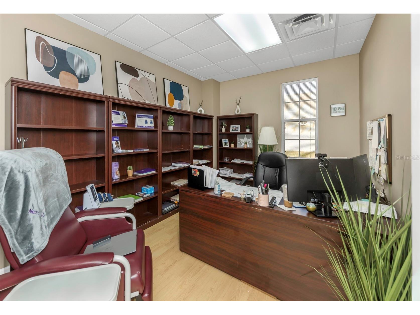14506 University Point Place Tampa FL 33613 TB8467190 image33