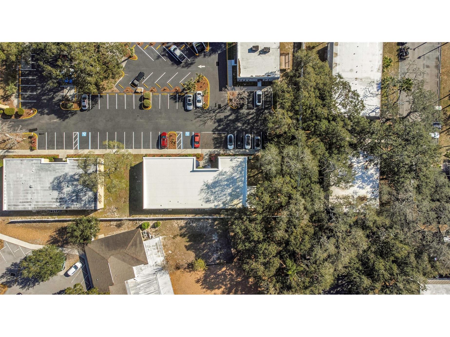 14506 University Point Place Tampa FL 33613 TB8467190 image93