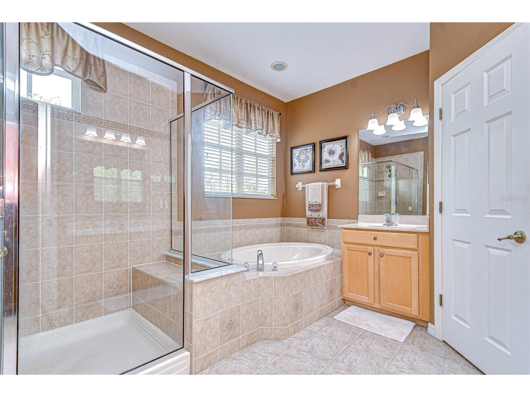 14507 Mirabelle Vista Circle Tampa FL 33626 TB8495842 image30