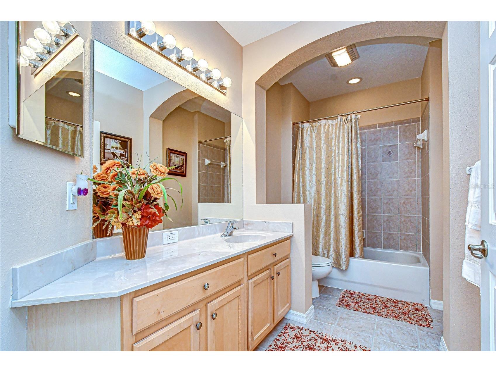 14507 Mirabelle Vista Circle Tampa FL 33626 TB8495842 image35