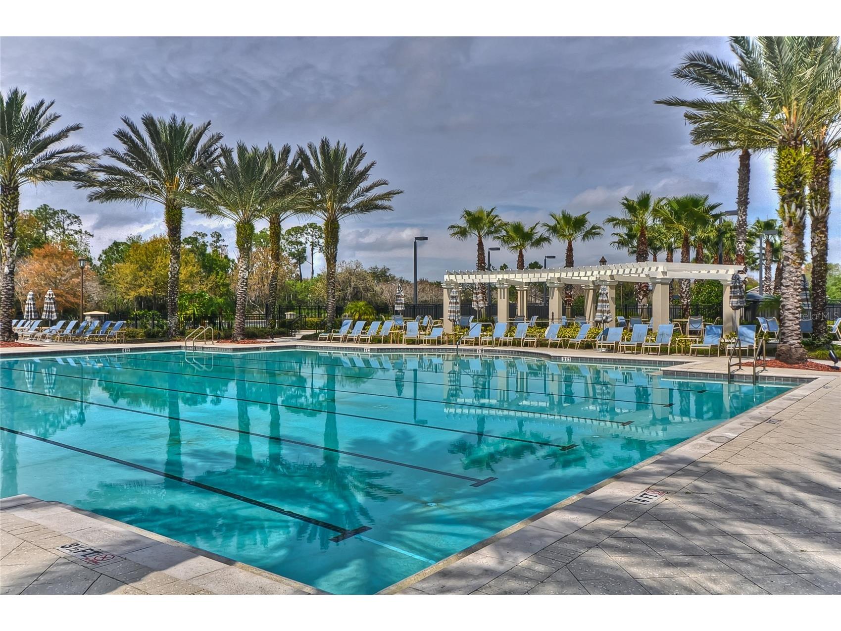 14507 Mirabelle Vista Circle Tampa FL 33626 TB8495842 image49
