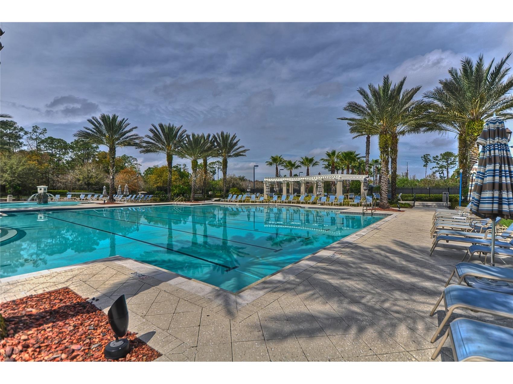 14507 Mirabelle Vista Circle Tampa FL 33626 TB8495842 image50