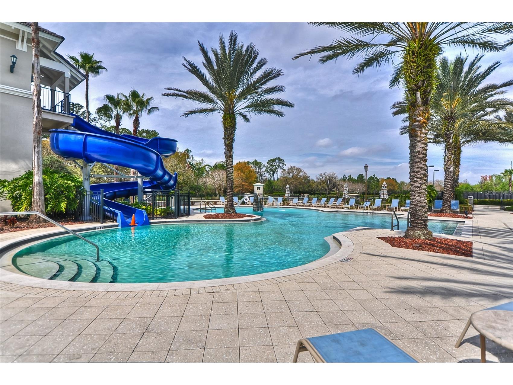 14507 Mirabelle Vista Circle Tampa FL 33626 TB8495842 image53