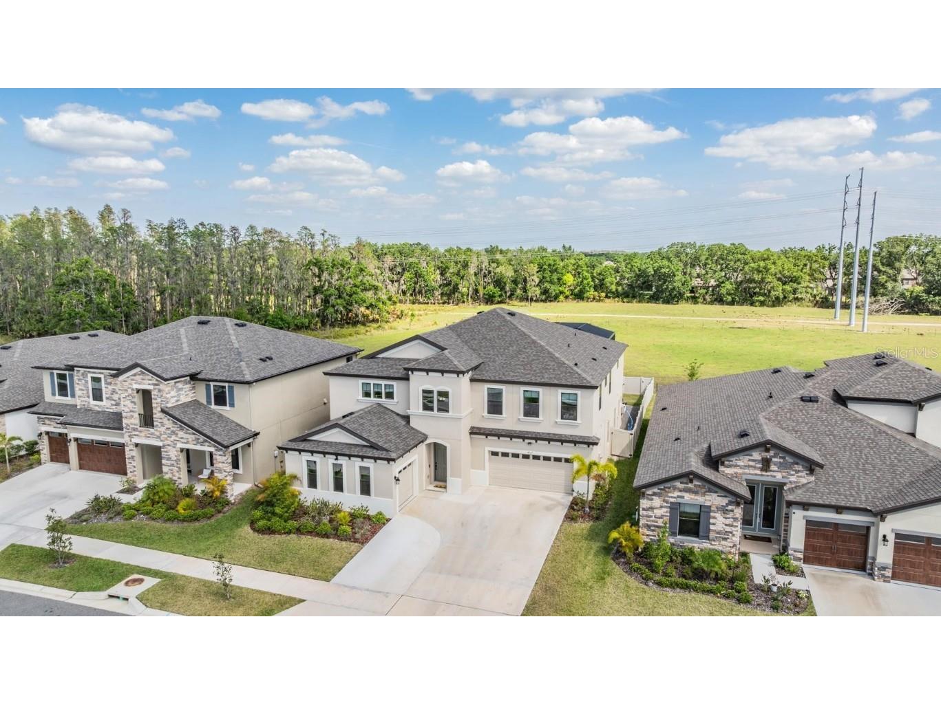 14507 Woodland Spur Drive Lithia FL 33547 TB8371406 image1