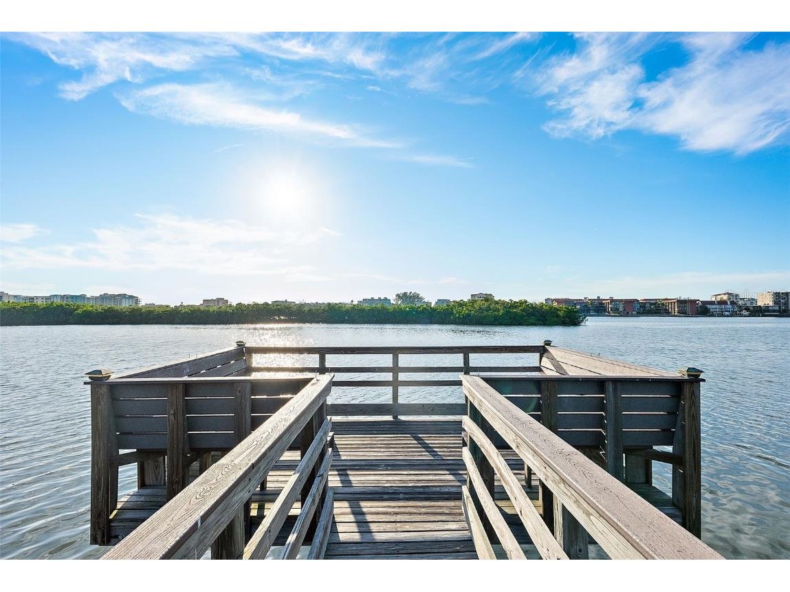 14508 Alejo Court Seminole FL 33776 TB8451059 image44