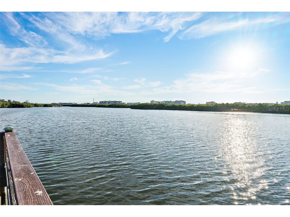 14508 Alejo Court Seminole FL 33776 TB8451059 image45