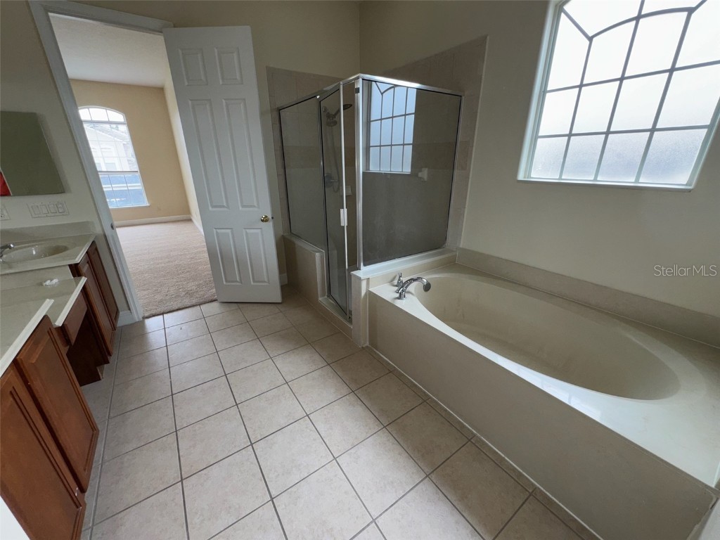 14508 Cedar Branch Way Orlando FL 32824 O6316209 image20