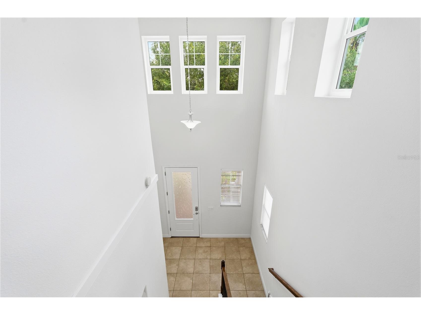 14508 Rocky Brook Drive Tampa FL 33625 TB8514508 image39