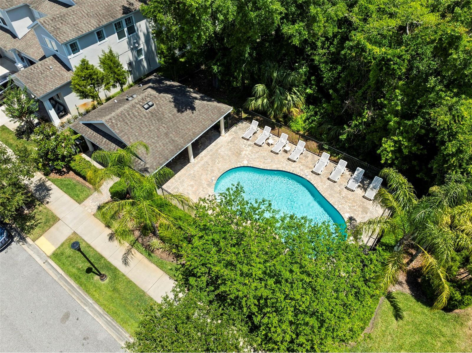 14508 Rocky Brook Drive Tampa FL 33625 TB8514508 image55