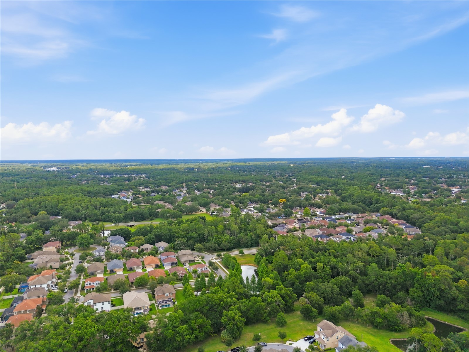 14508 Rocky Brook Drive Tampa FL 33625 TB8514508 image56