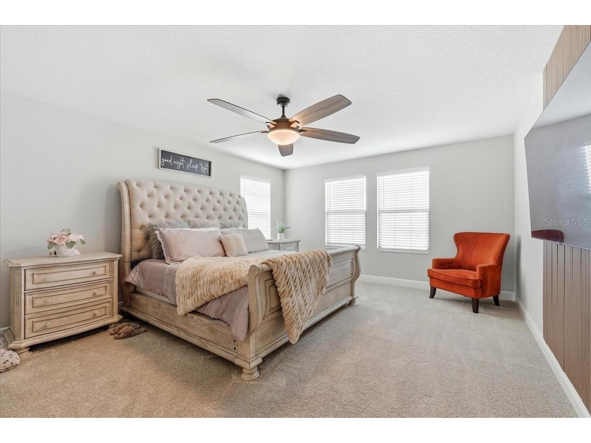 14508 Woodland Spur Drive Lithia FL 33547 O6382193 image11