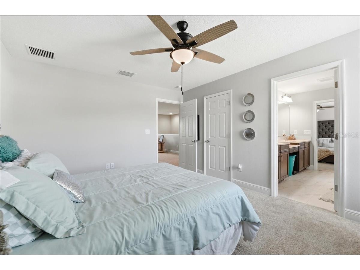 14508 Woodland Spur Drive Lithia FL 33547 O6382193 image15