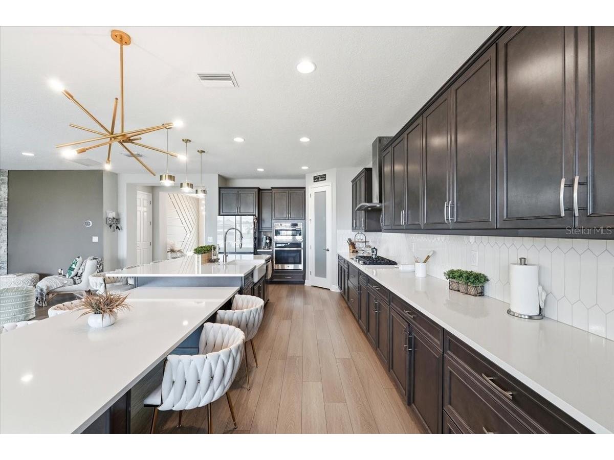 14508 Woodland Spur Drive Lithia FL 33547 O6382193 image7