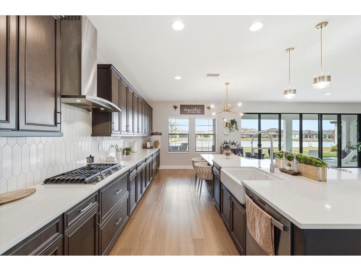 14508 Woodland Spur Drive Lithia FL 33547 O6382193 image8