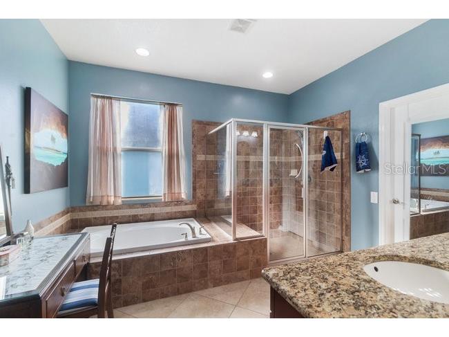 14509 Strathglass Drive Hudson FL 34667 TB8457384 image25