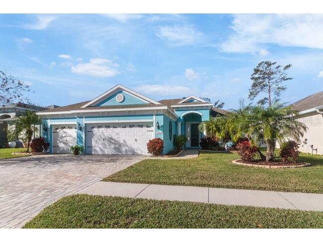 14509 Strathglass Drive Hudson FL 34667 TB8457384 image47