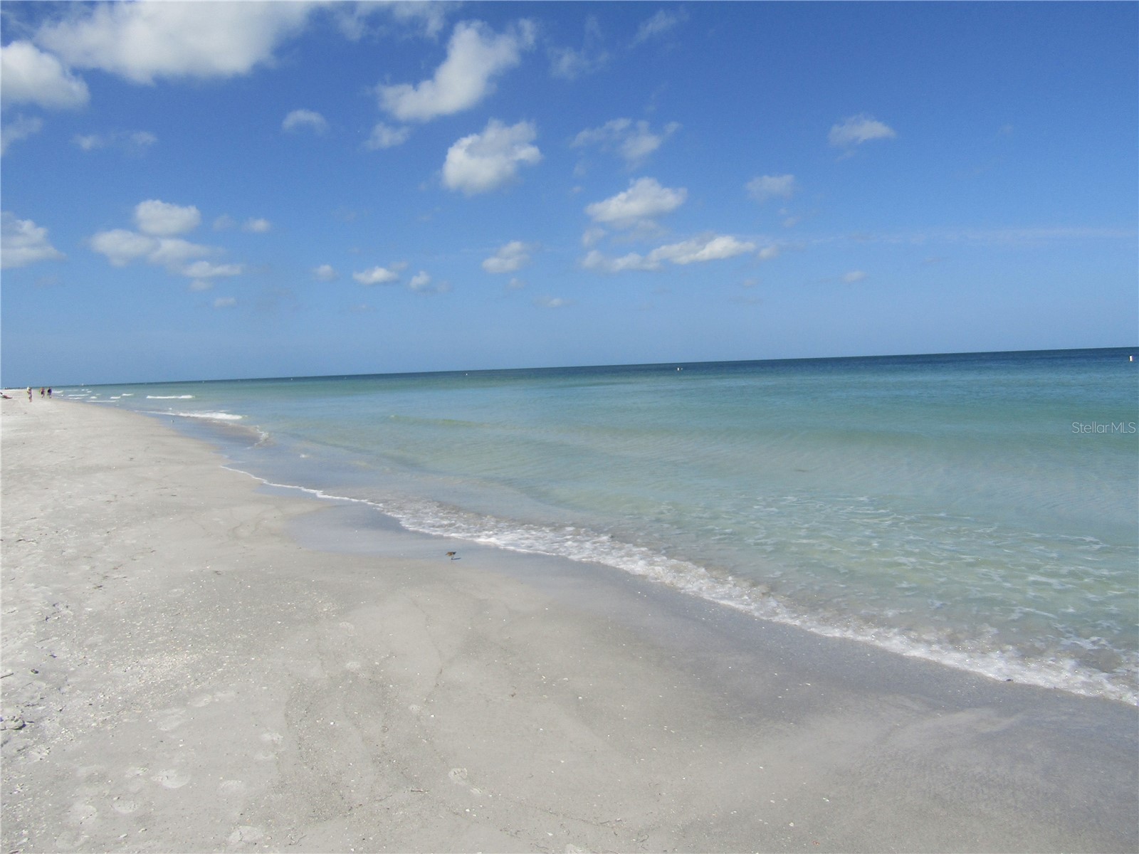 1451 Gulf Boulevard #101 Clearwater Beach FL 33767 TB8476110 image38