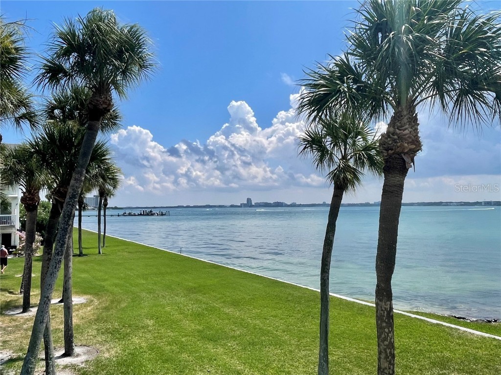 1451 Gulf Boulevard #204 Clearwater FL 33767 TB8416542 image1
