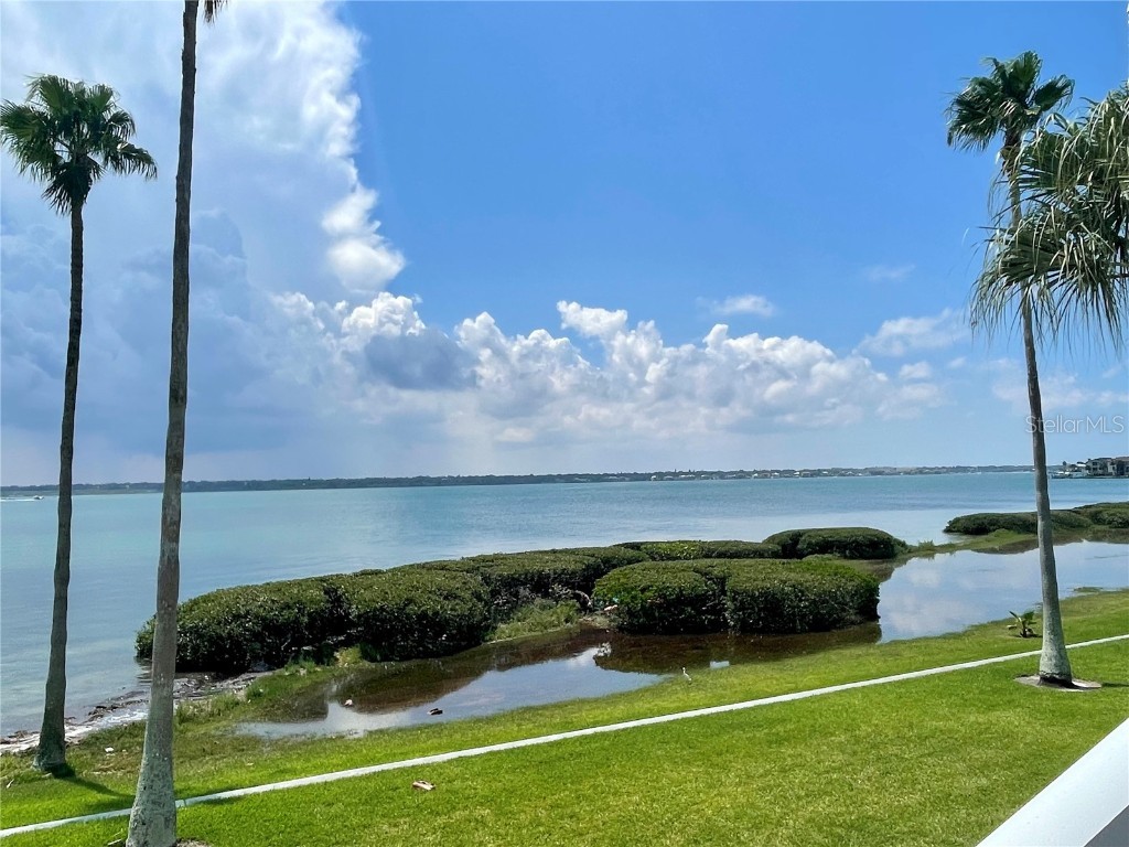 1451 Gulf Boulevard #204 Clearwater FL 33767 TB8416542 image34