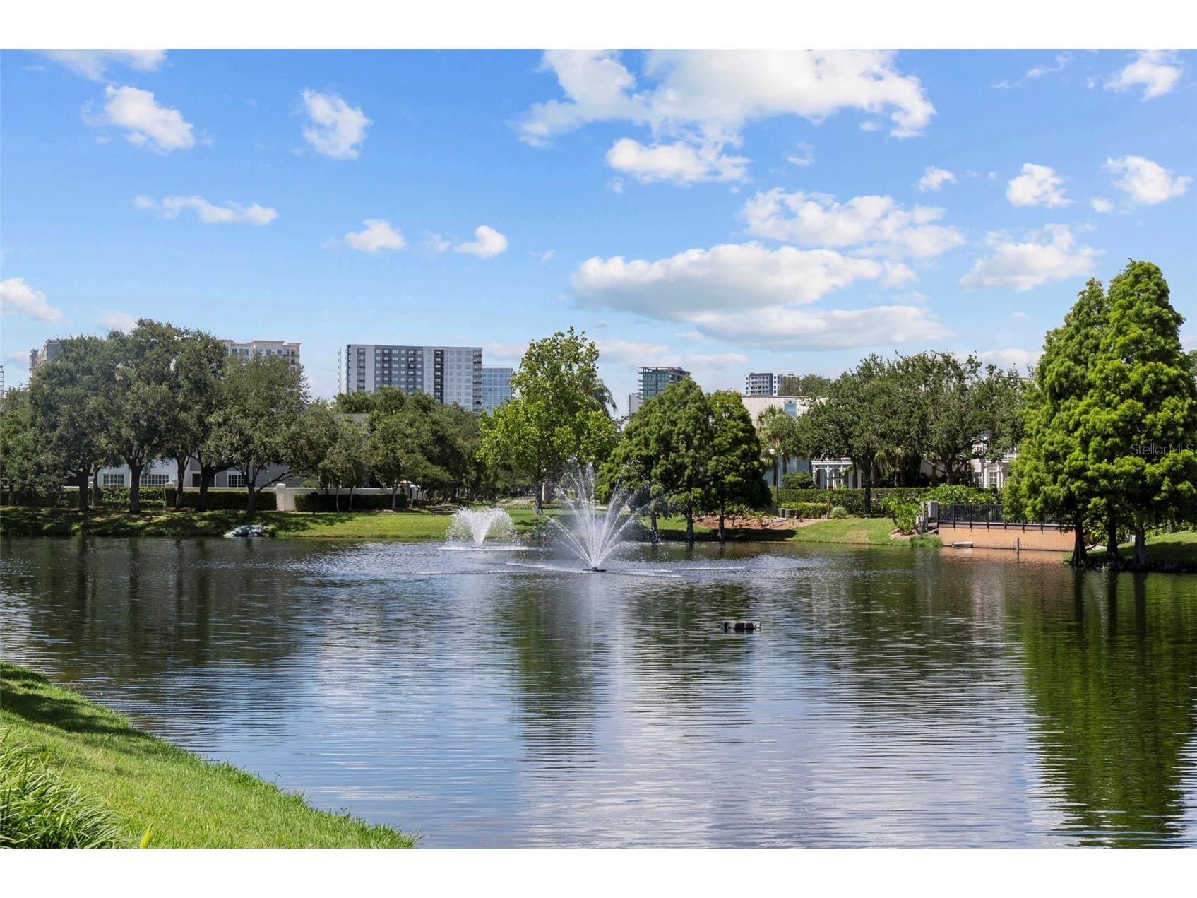 1451 Harbour Walk Road Tampa FL 33602 TB8427251 image45