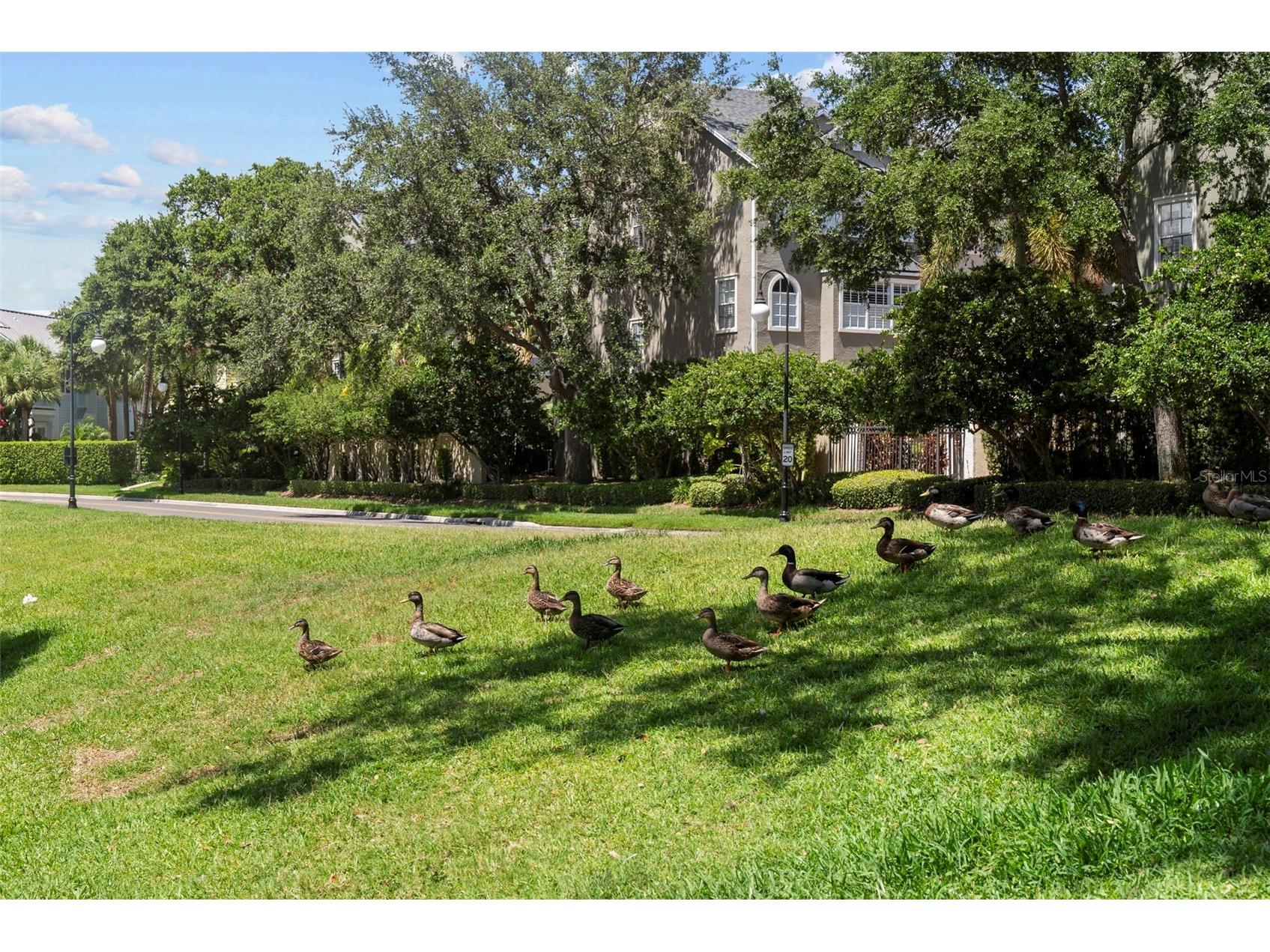 1451 Harbour Walk Road Tampa FL 33602 TB8427251 image47