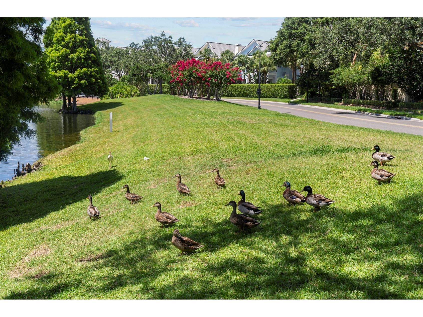 1451 Harbour Walk Road Tampa FL 33602 TB8427251 image48