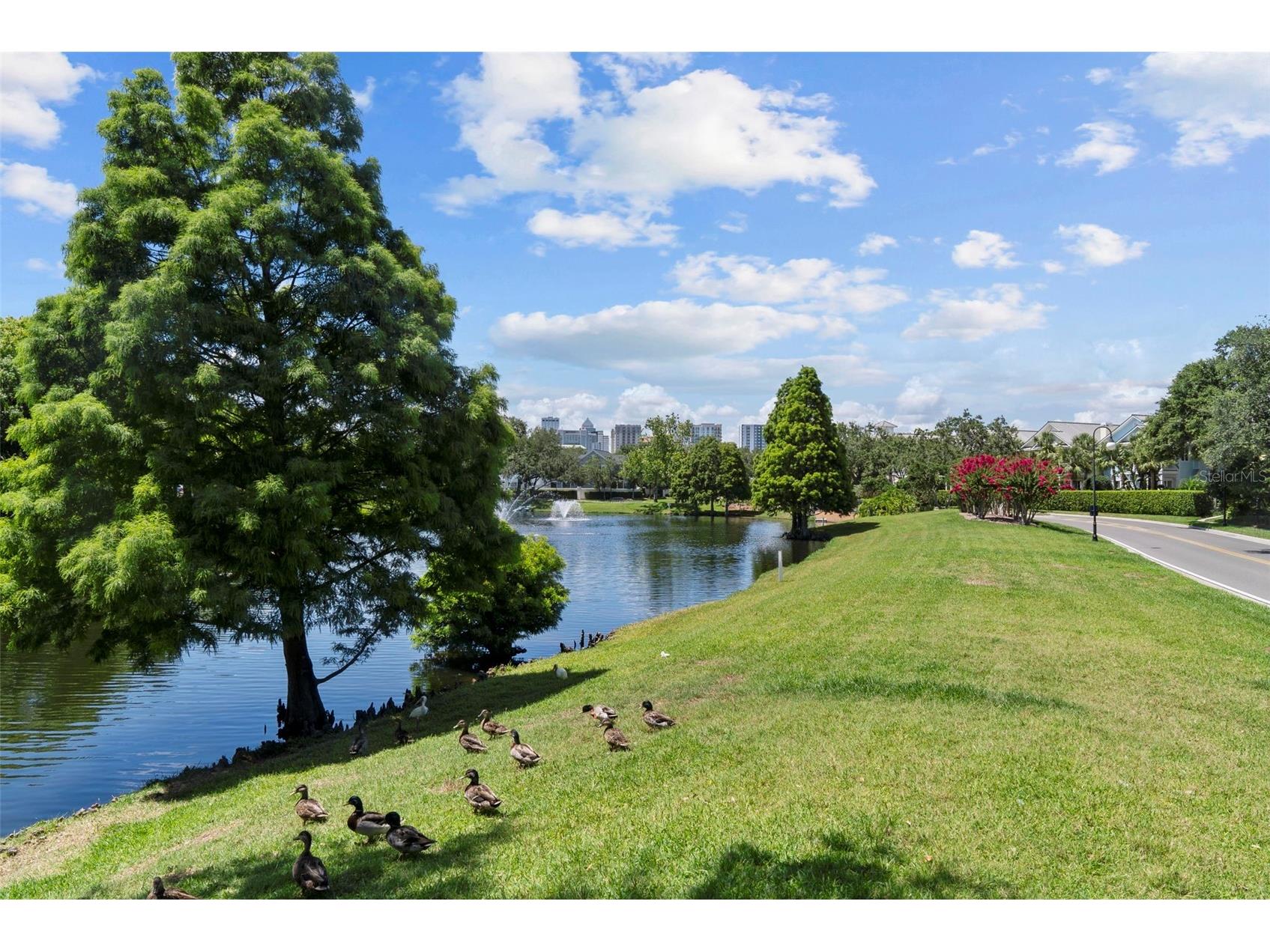 1451 Harbour Walk Road Tampa FL 33602 TB8427251 image49