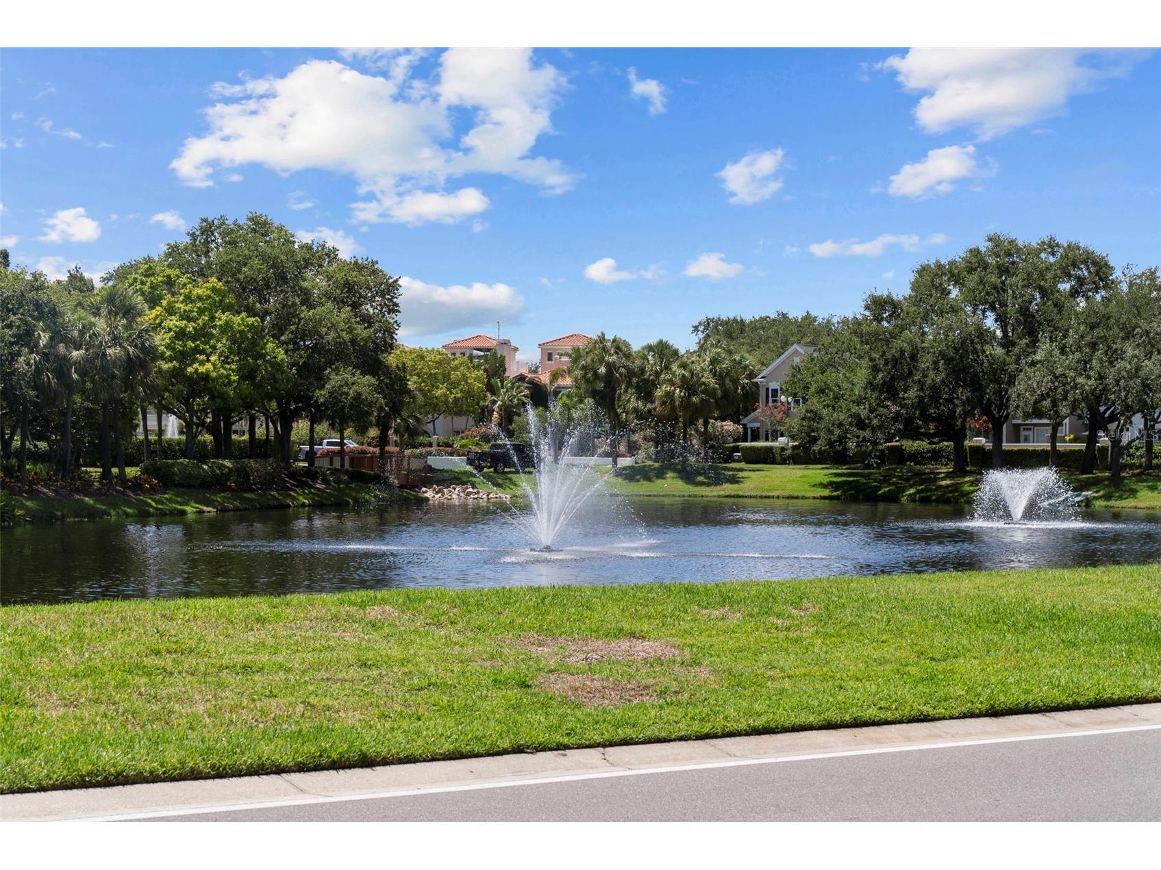 1451 Harbour Walk Road Tampa FL 33602 TB8427251 image51