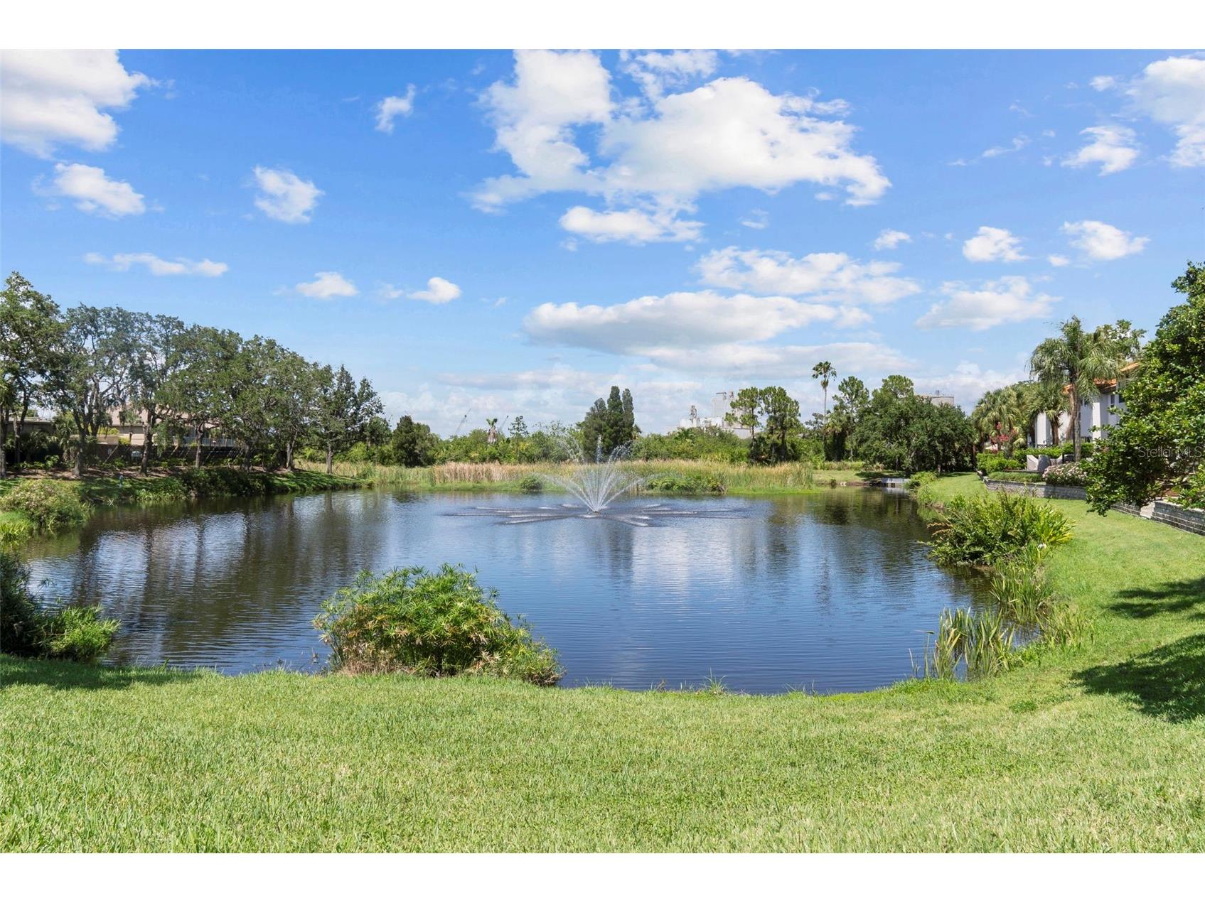 1451 Harbour Walk Road Tampa FL 33602 TB8427251 image59