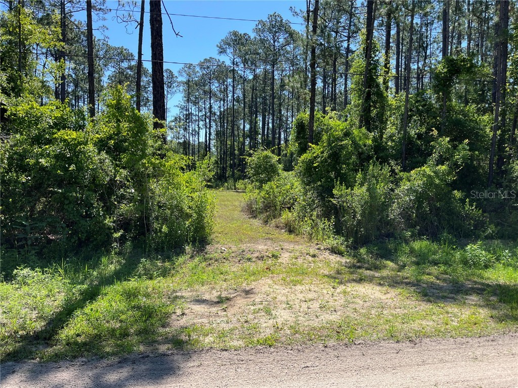 1451 Hickory St. Bunnell FL 32110 FC301142 image1