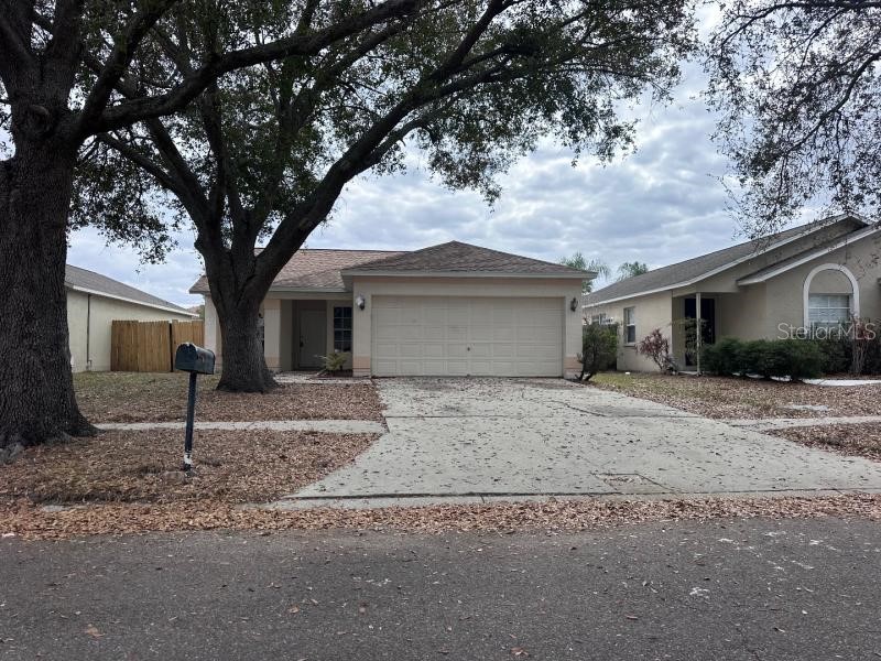 1451 Mohrlake Drive Brandon FL 33511 O6386140 image1