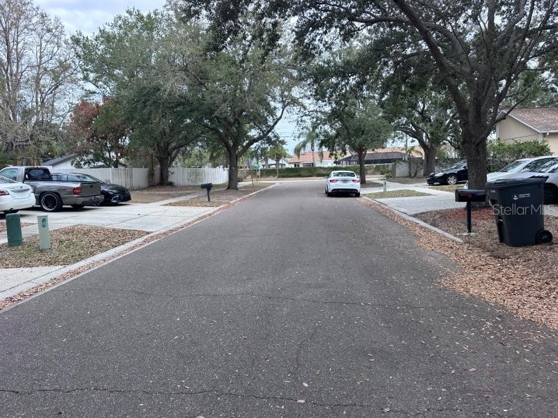 1451 Mohrlake Drive Brandon FL 33511 O6386140 image2